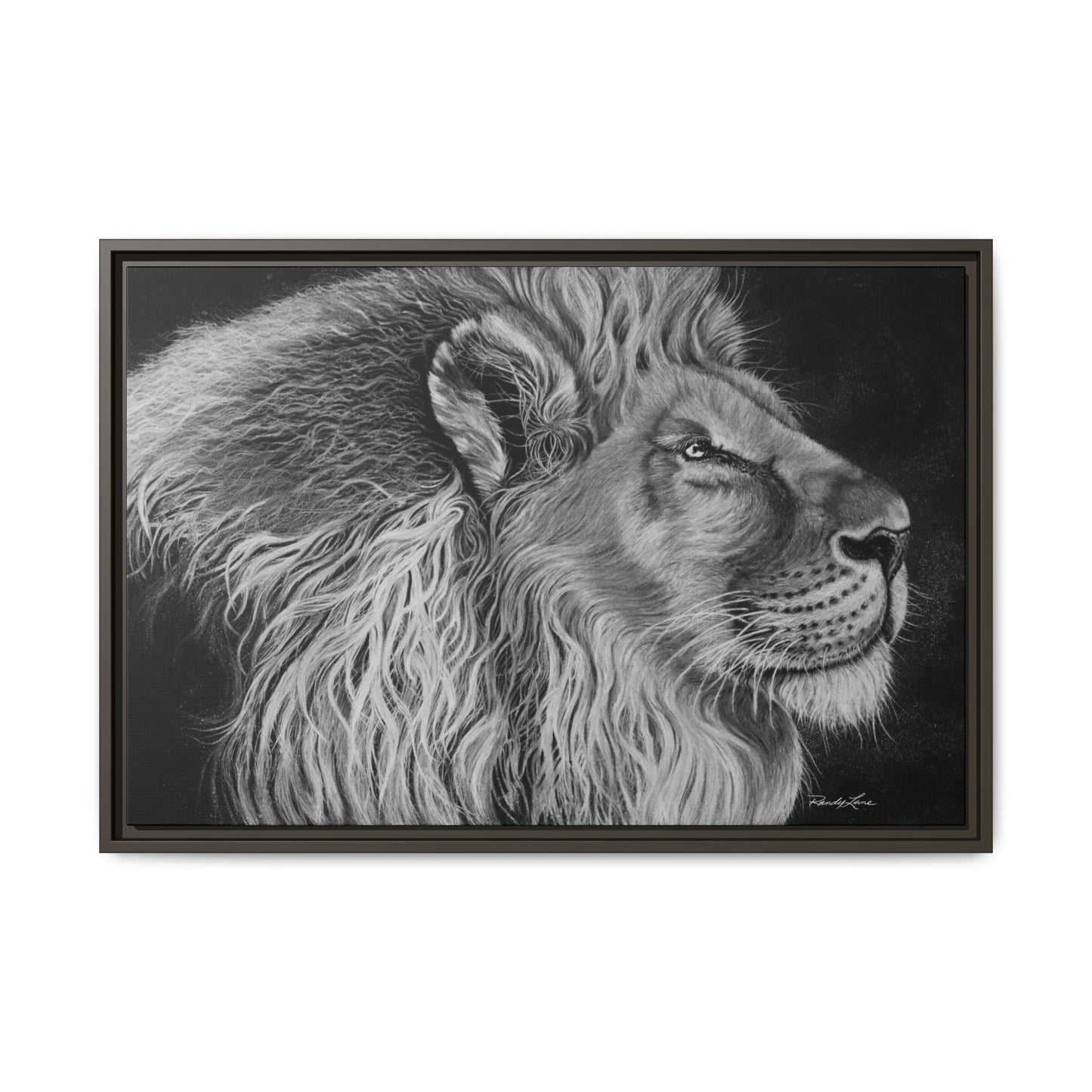 King of Cool, Majestic Lion Framed Canvas Art