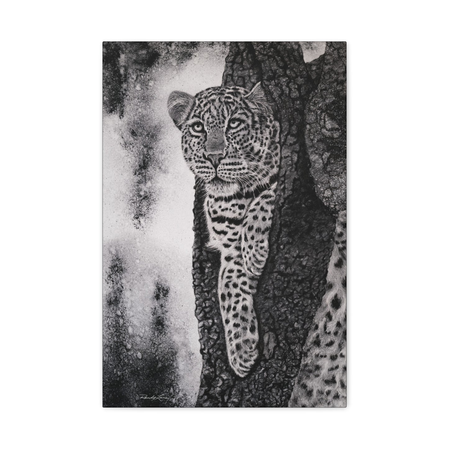 Tree Hugger, Leopard Wall Art Canvas Print