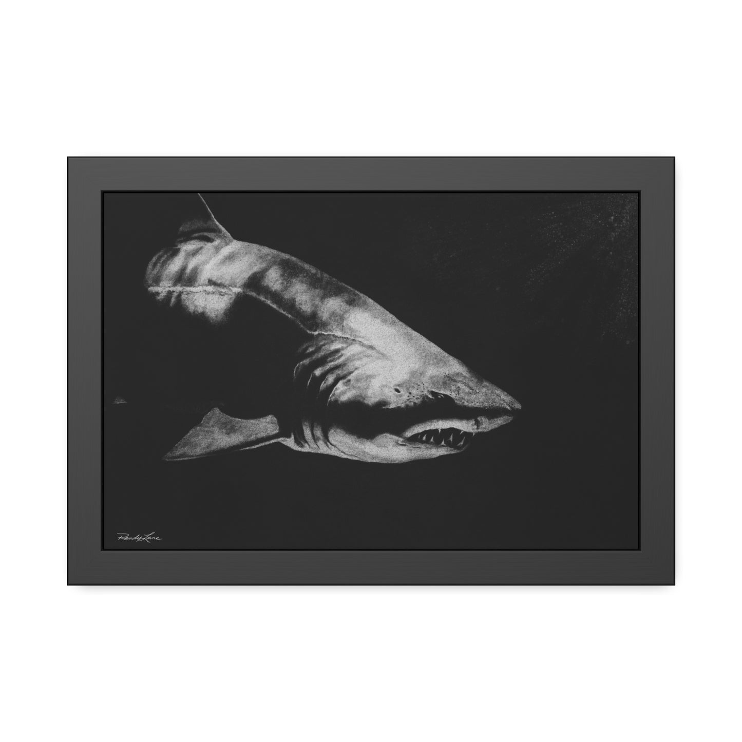 Below, Shark Framed Fine Art Print