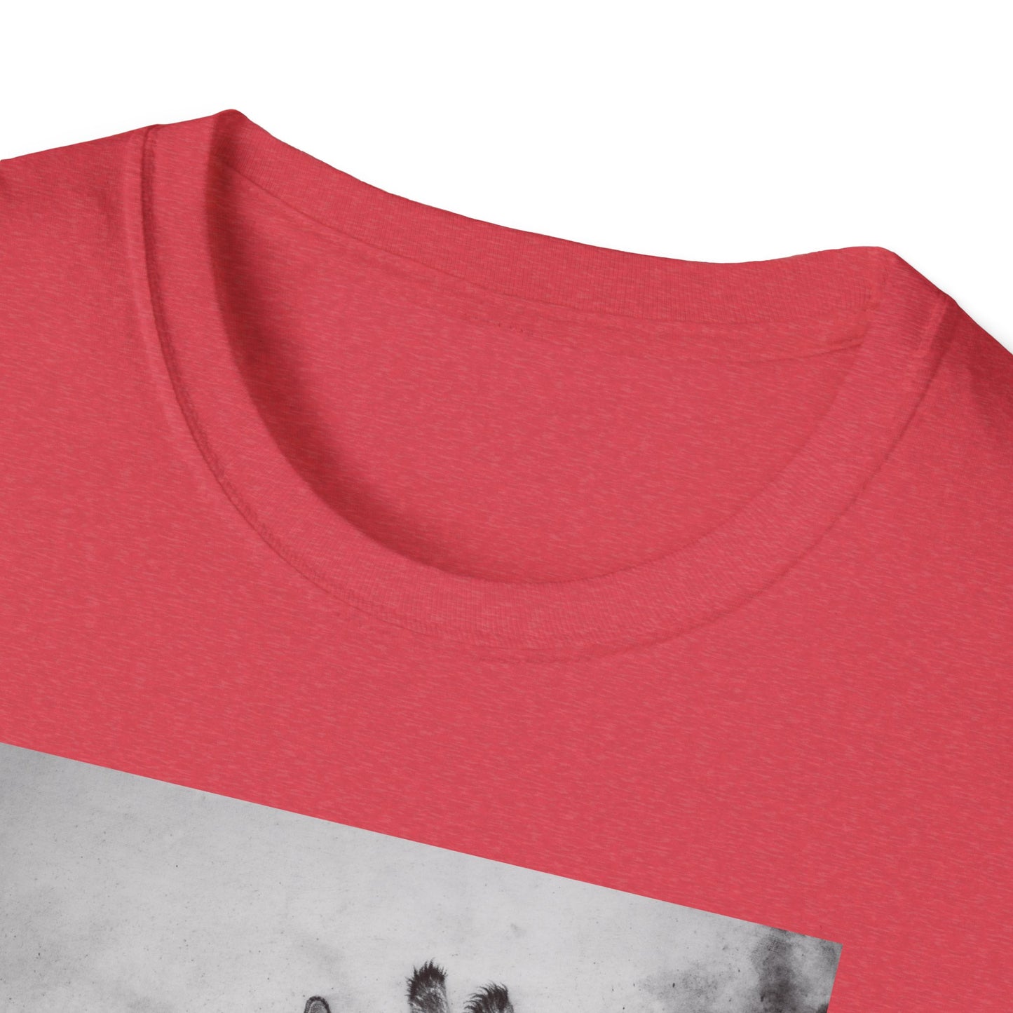 Grace in the Grassland, Giraffe Unisex Softstyle T-Shirt