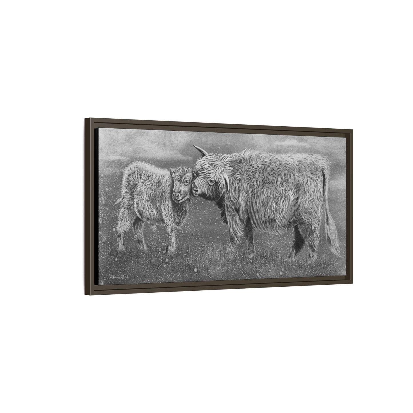 Highland Love, Highland Cattle Framed Canvas Art Print
