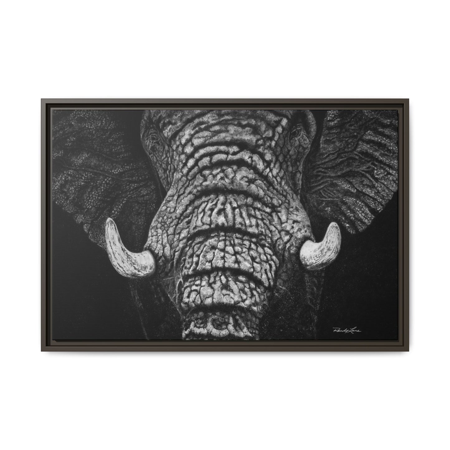Ebony and Ivory, Elephant Portrait Framed Canvas Wall Art