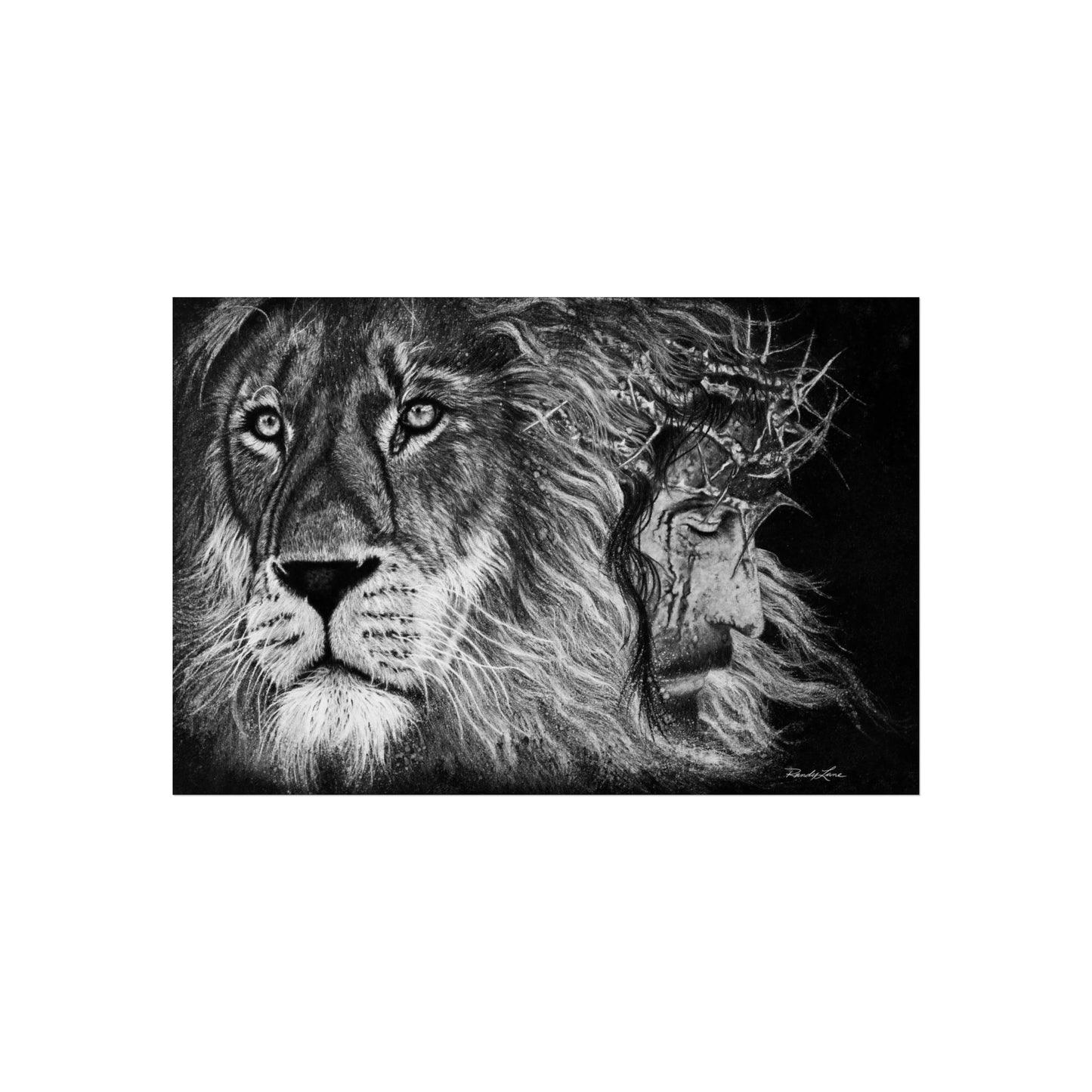 Lion King, Fine Art Print