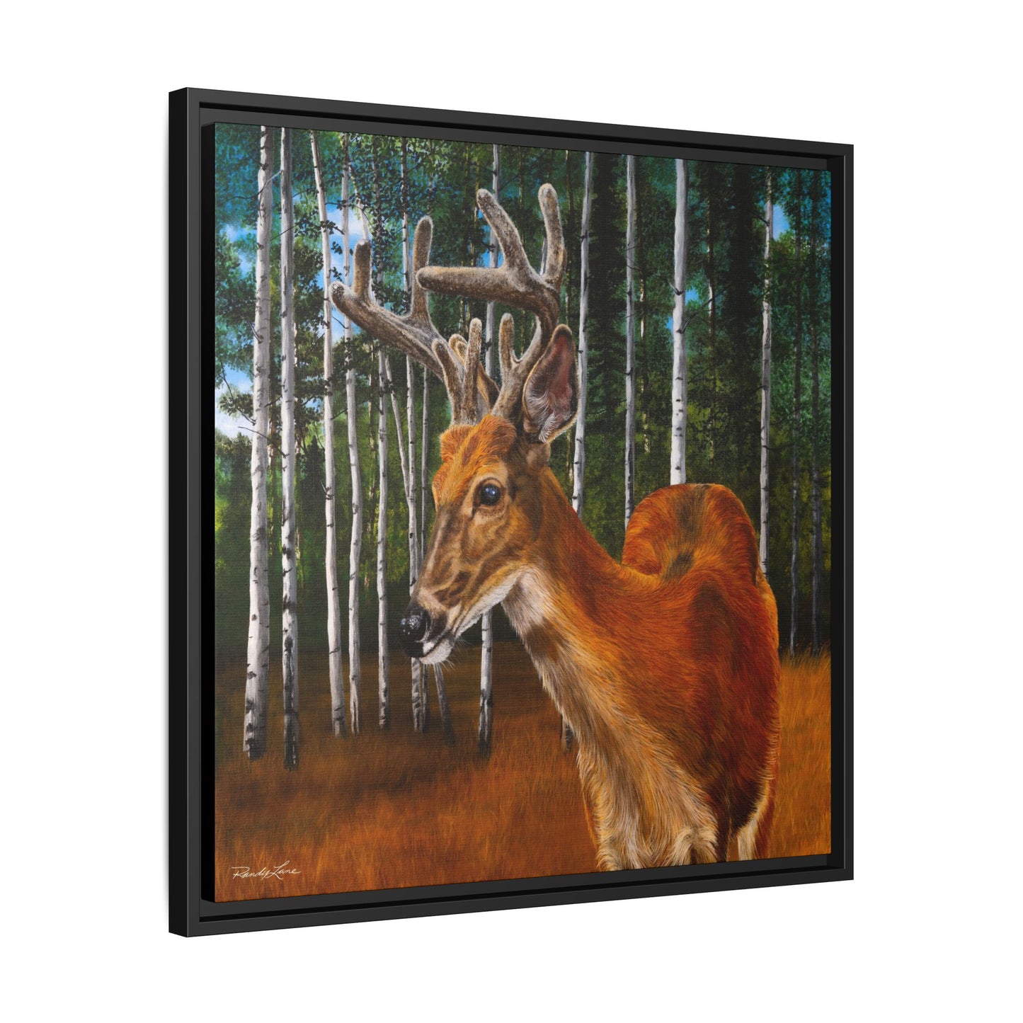 Velvet Crush, Framed Deer Canvas Art