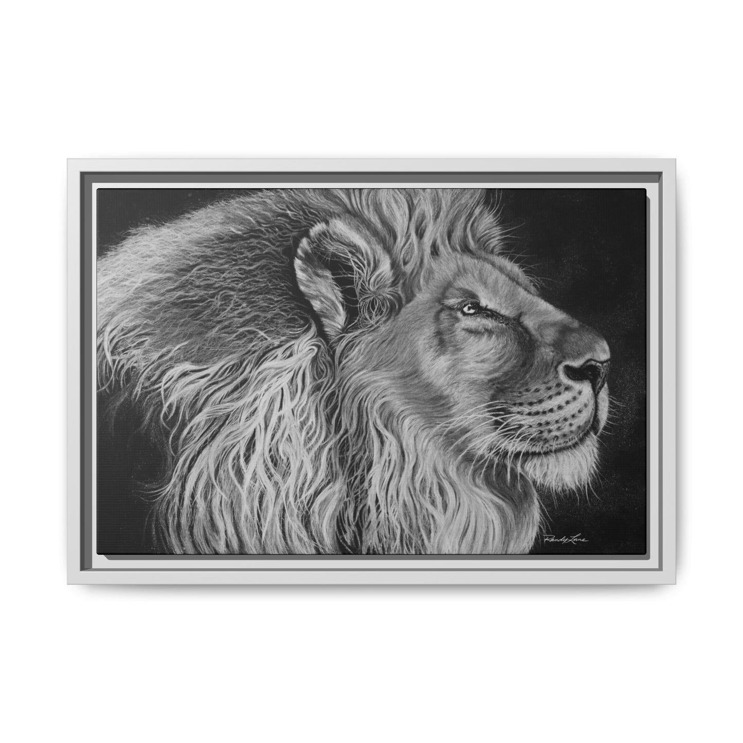 King of Cool, Majestic Lion Framed Canvas Art