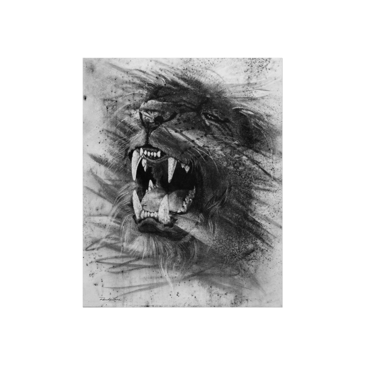 Let the Lion Roar, Lion Fine Art Print