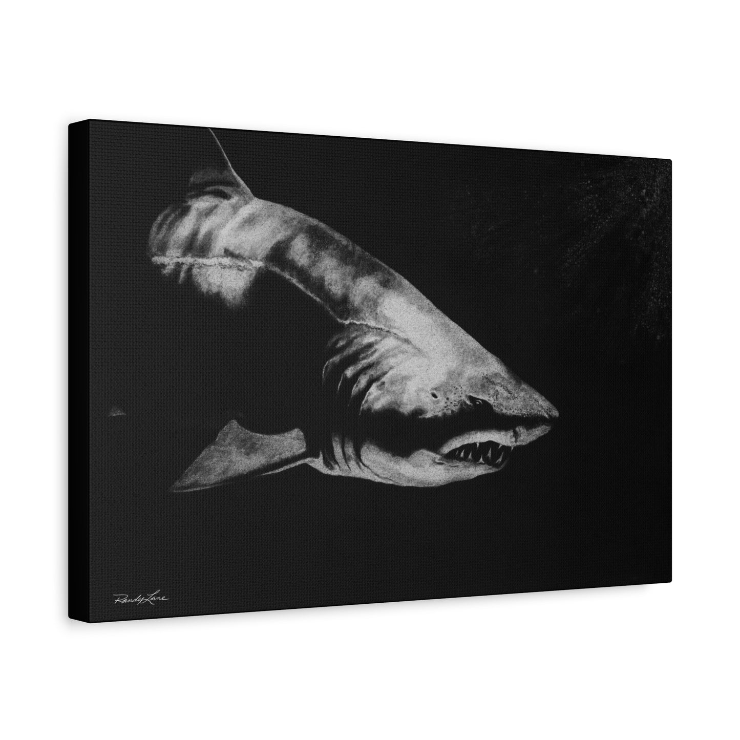 Below, Shark Fine Art Canvas Print