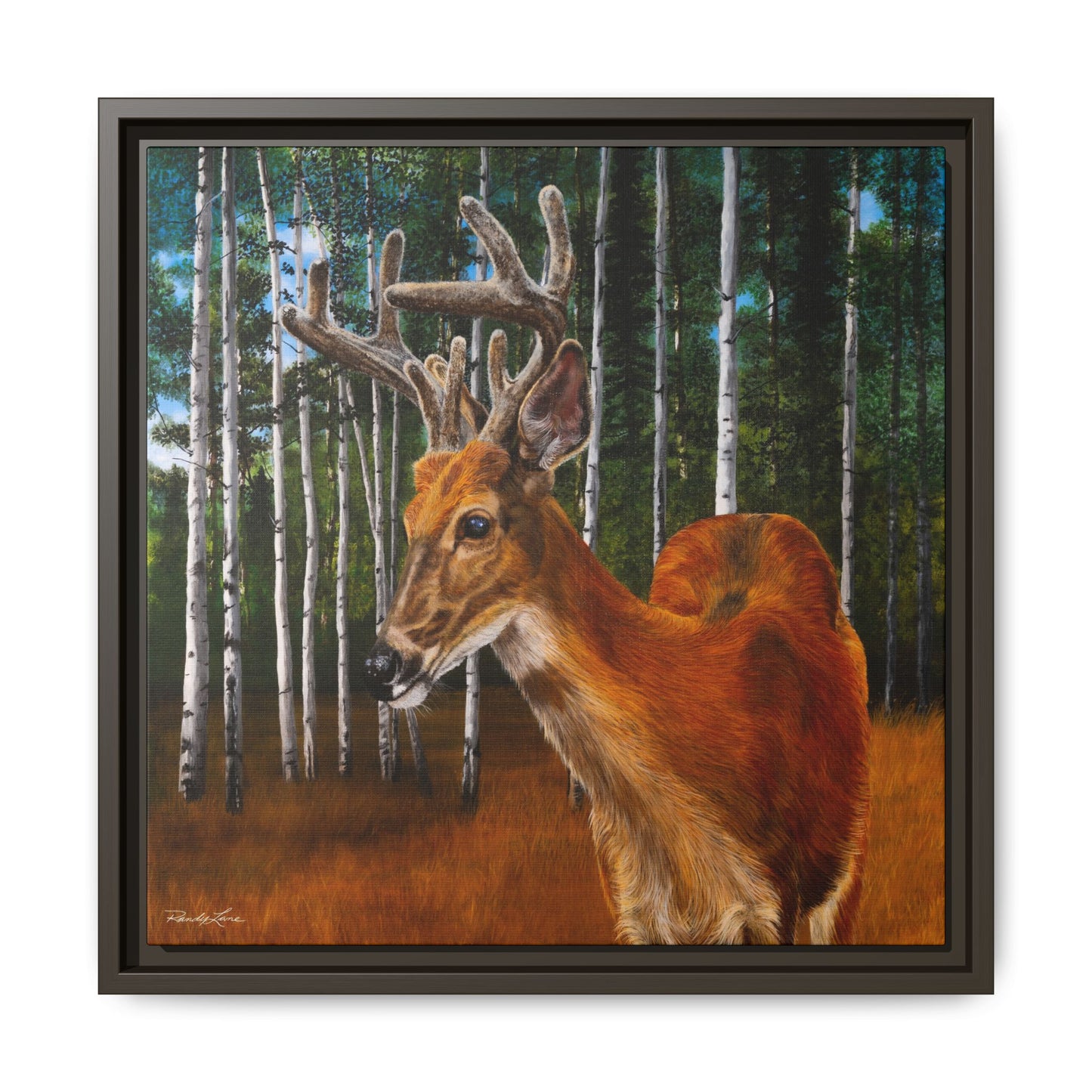 Velvet Crush, Framed Deer Canvas Art