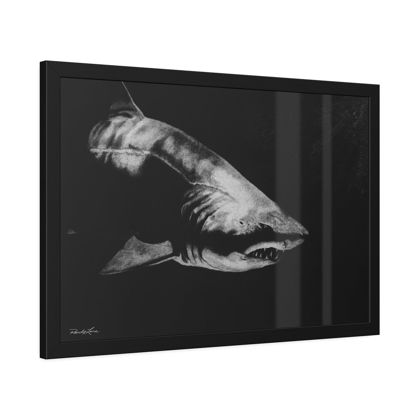 Below, Shark Framed Fine Art Print