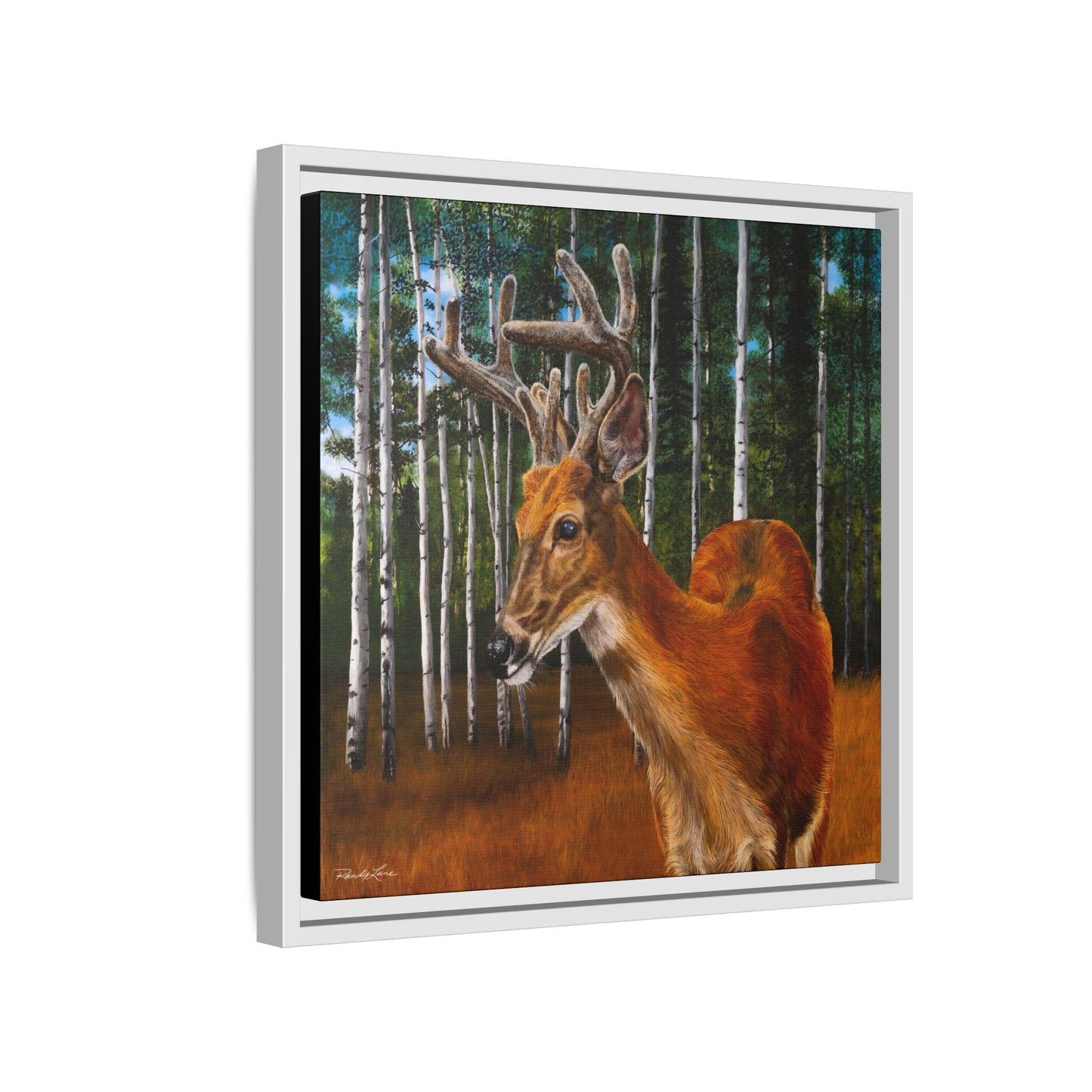 Velvet Crush, Framed Deer Canvas Art