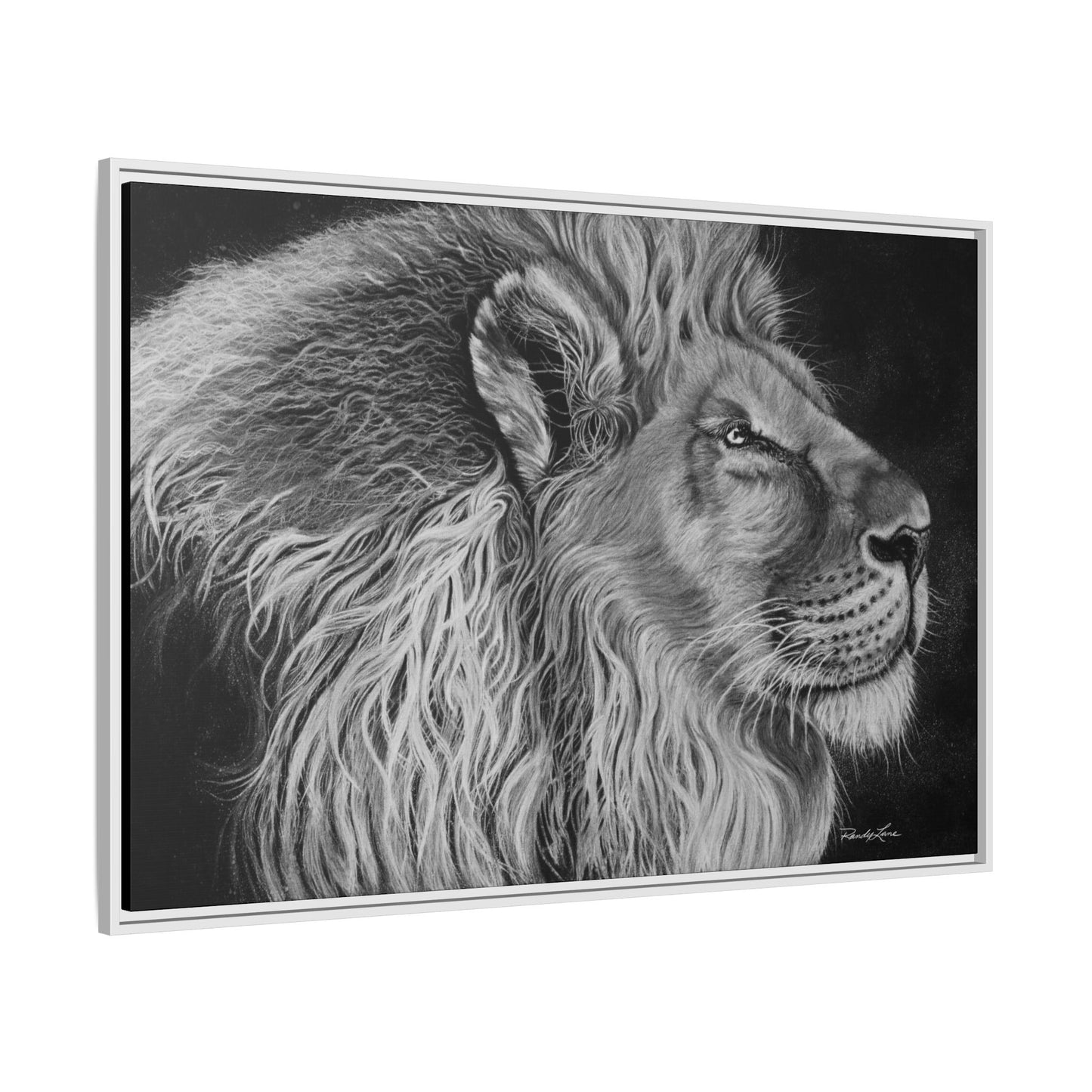 King of Cool, Majestic Lion Framed Canvas Art