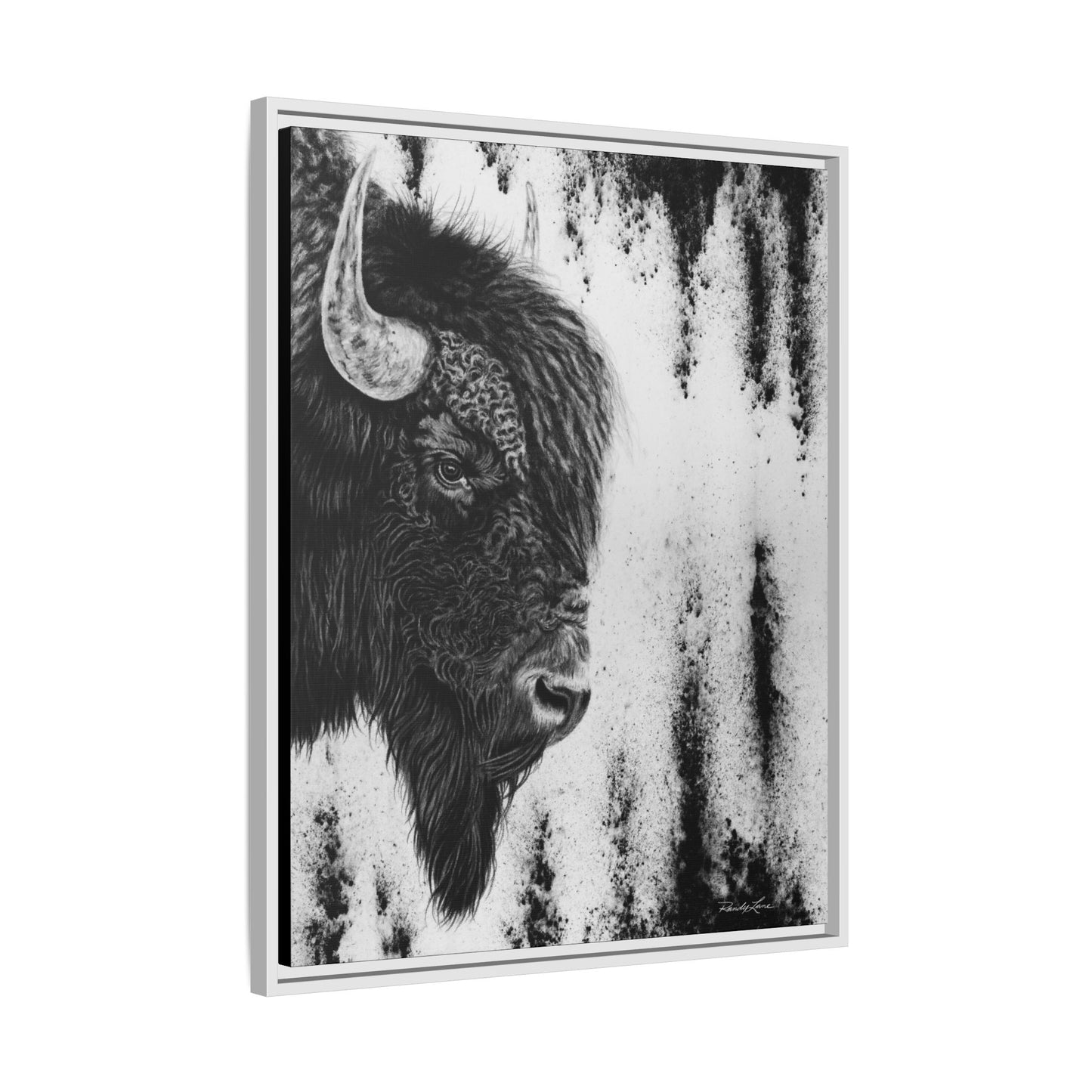 Pride, Framed Bison Canvas Art