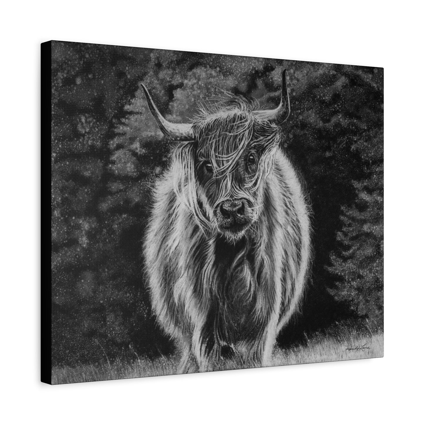 Ragamuffin. Highland Cow Stretched Matte Canvas Wall Art