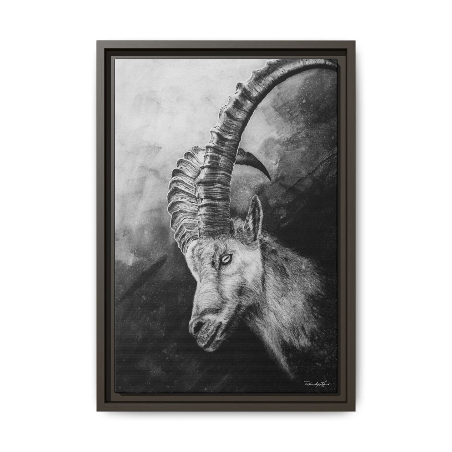 Apex,  Alpine Mountain Goat, Framed Matte Canvas Art Print,