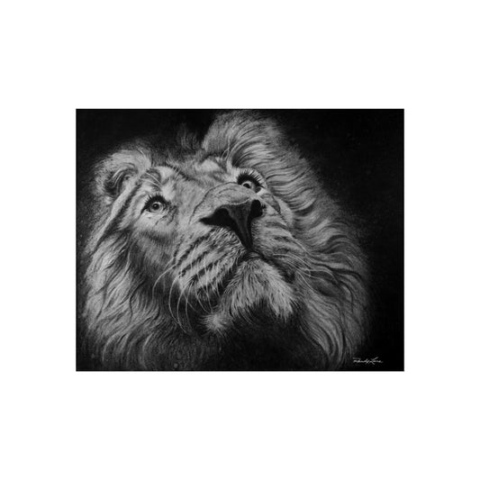 Renown, Majestic Lion Fine Art Print