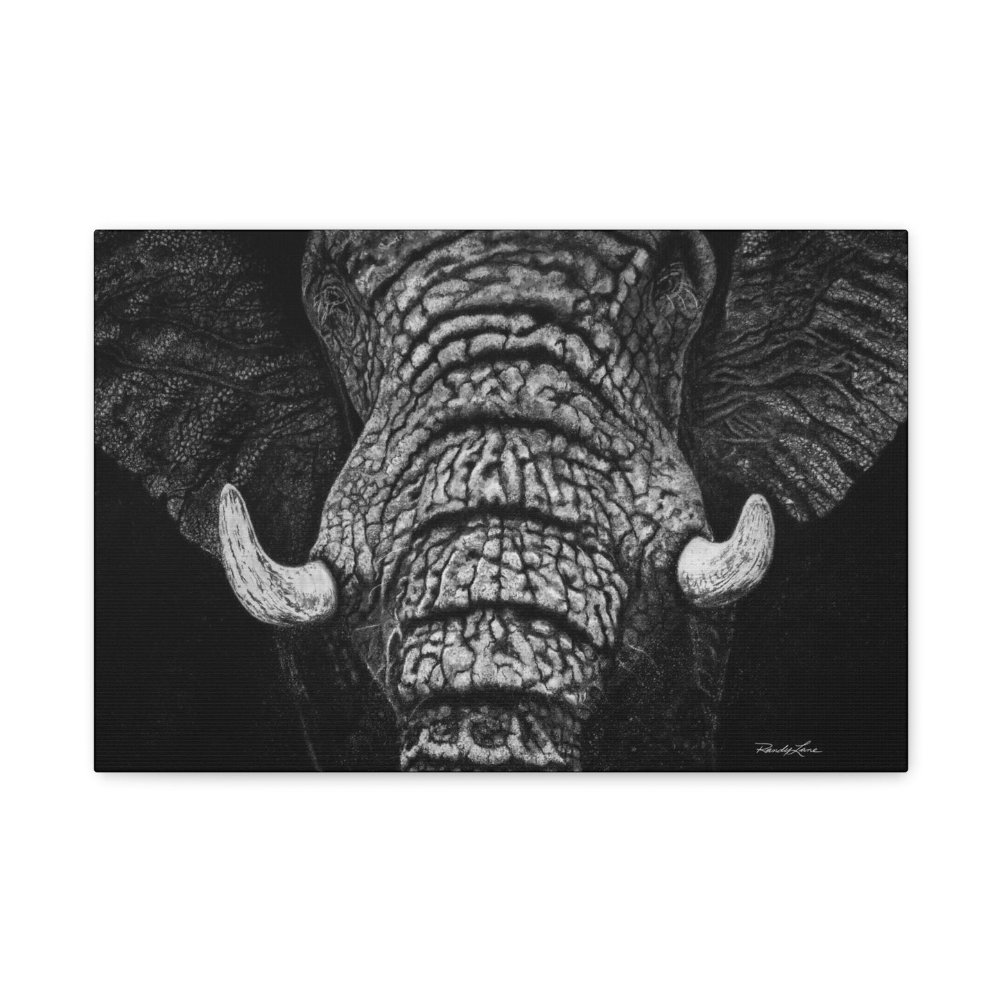 Ebony and Ivory, Stretched Canvas Wall Art Featuring Majestic Elephant
