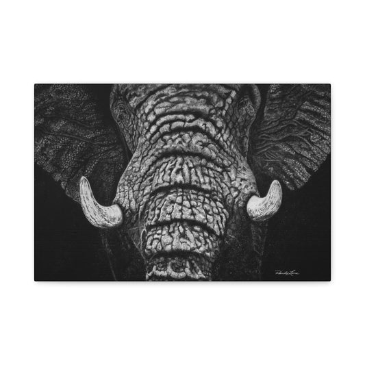 Ebony and Ivory, Stretched Canvas Wall Art Featuring Majestic Elephant