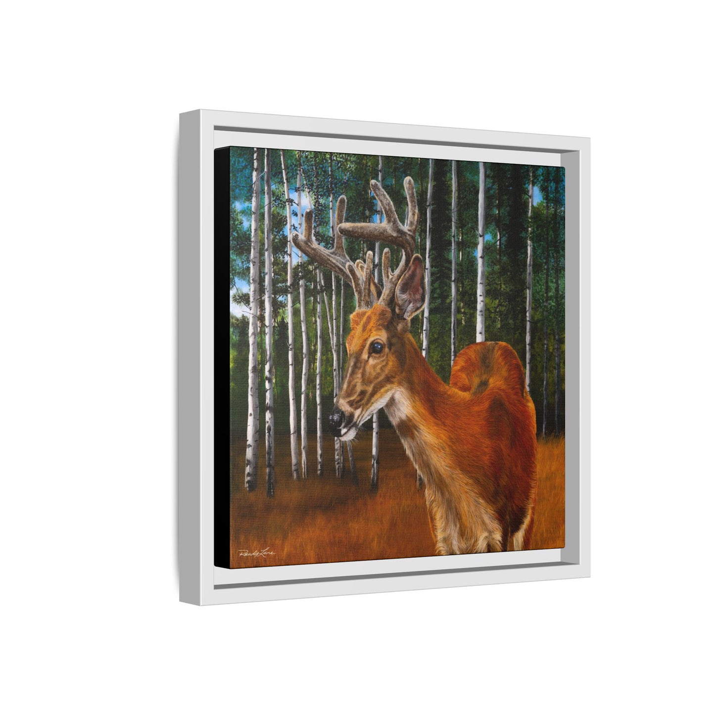 Velvet Crush, Framed Deer Canvas Art