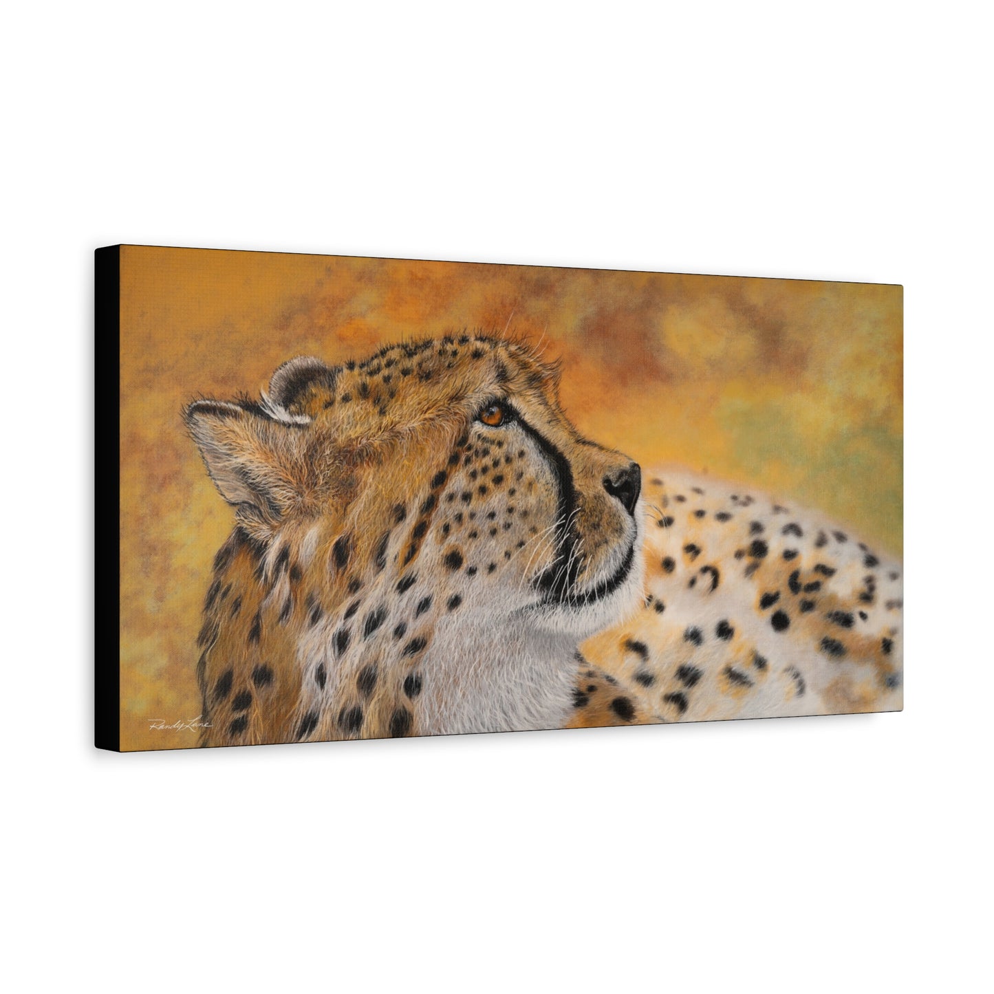 Cheetah Chill,  Canvas Cheetah Wall Art,