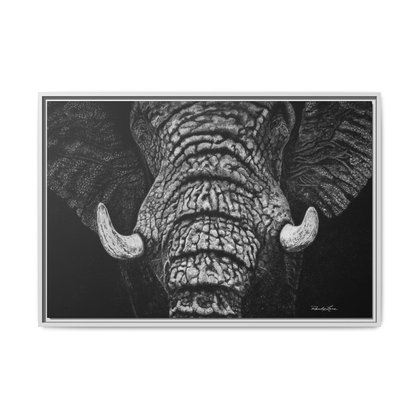 Ebony and Ivory, Elephant Portrait Framed Canvas Wall Art
