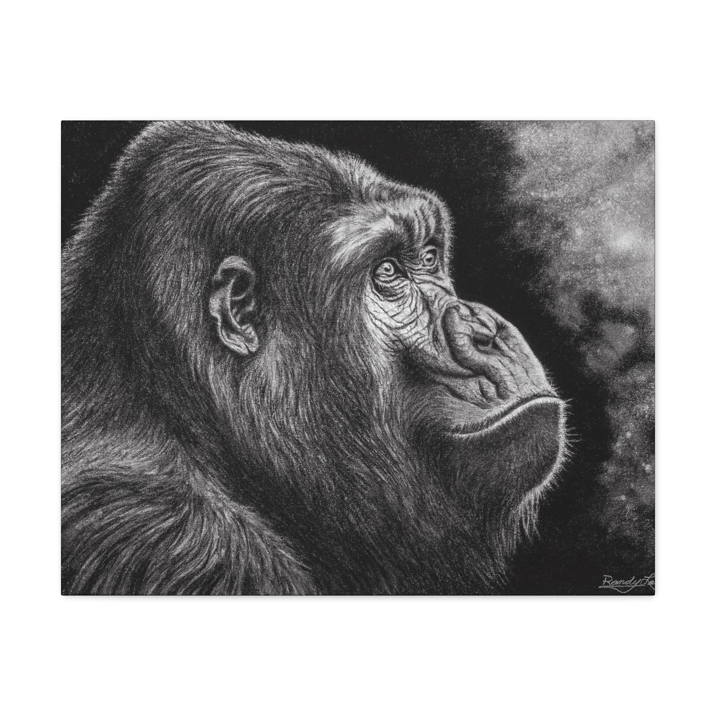 Gorilla, Matte Canvas, Stretched, 1.25"