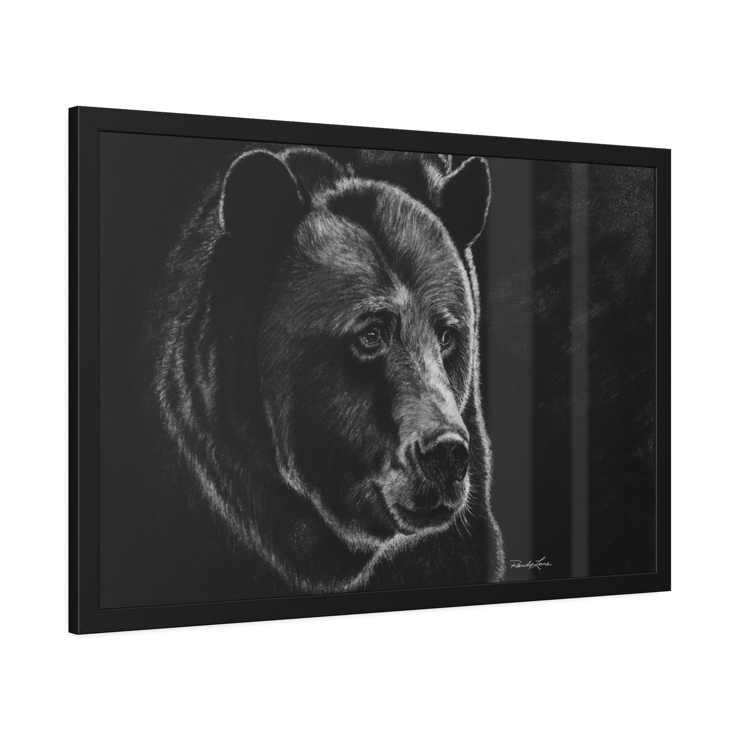 Dominance,  Bear Framed Fine Art Print