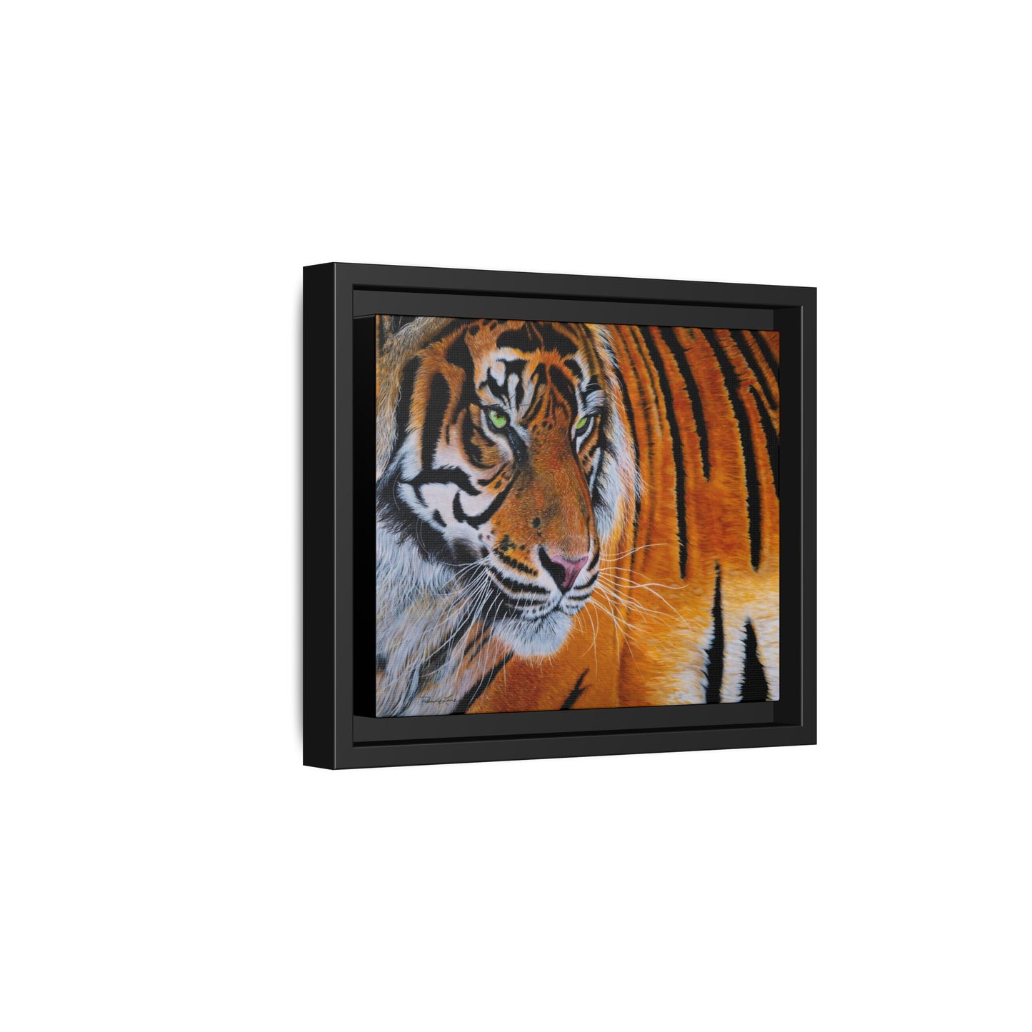 Tiger Stripe, Framed Tiger Canvas Print