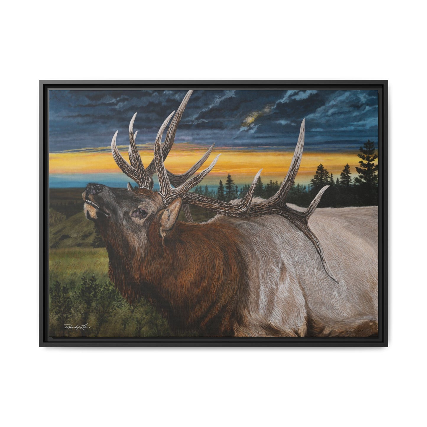Sunset Serenade,  Elk Framed Matte Canvas Print