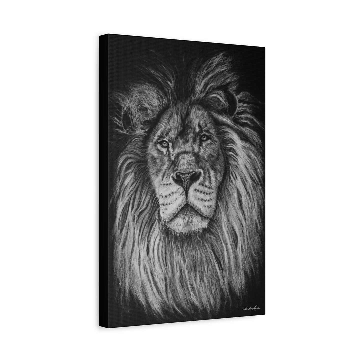 The Mane Event, Matte Canvas Lion Print, Stretched, 1.25"