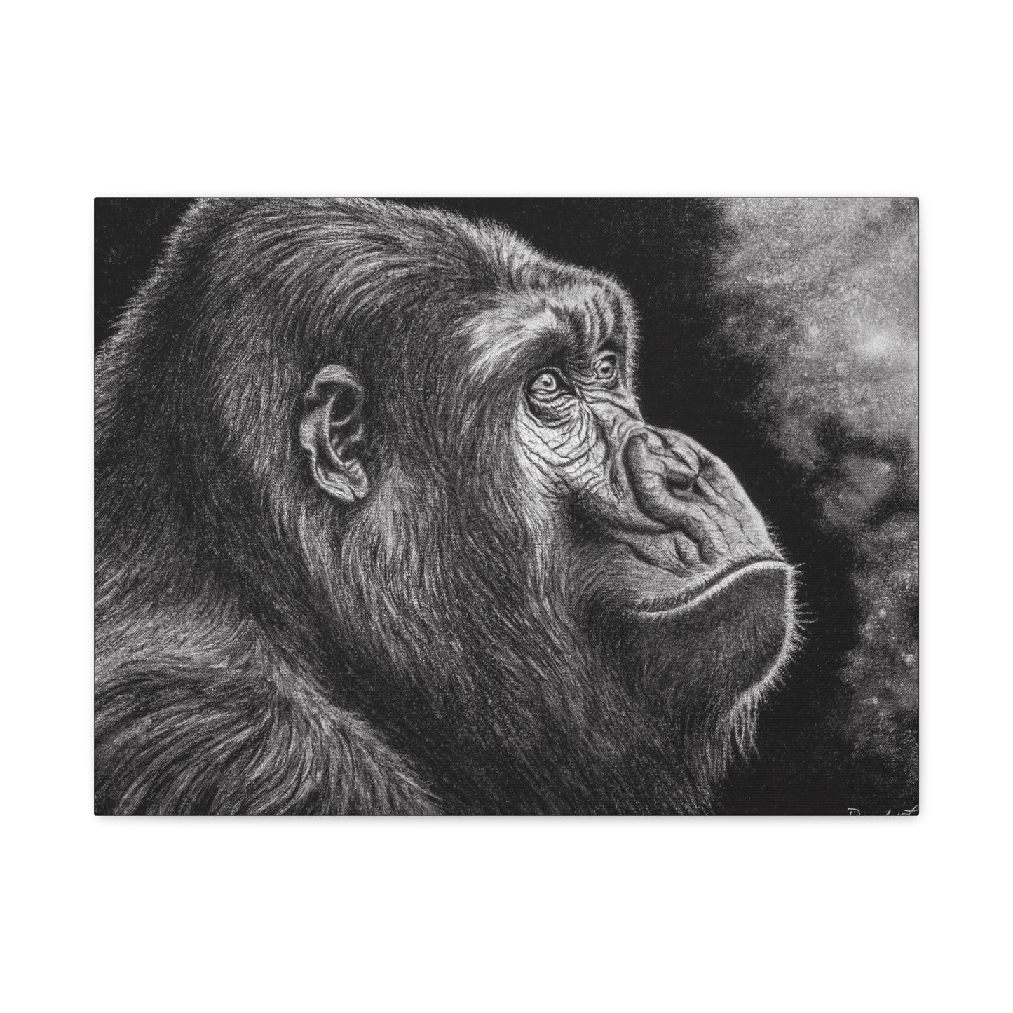 Gorilla, Matte Canvas, Stretched, 1.25"