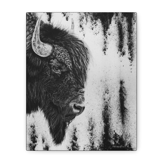 Pride, Bison Stretched Canvas Wall Decor