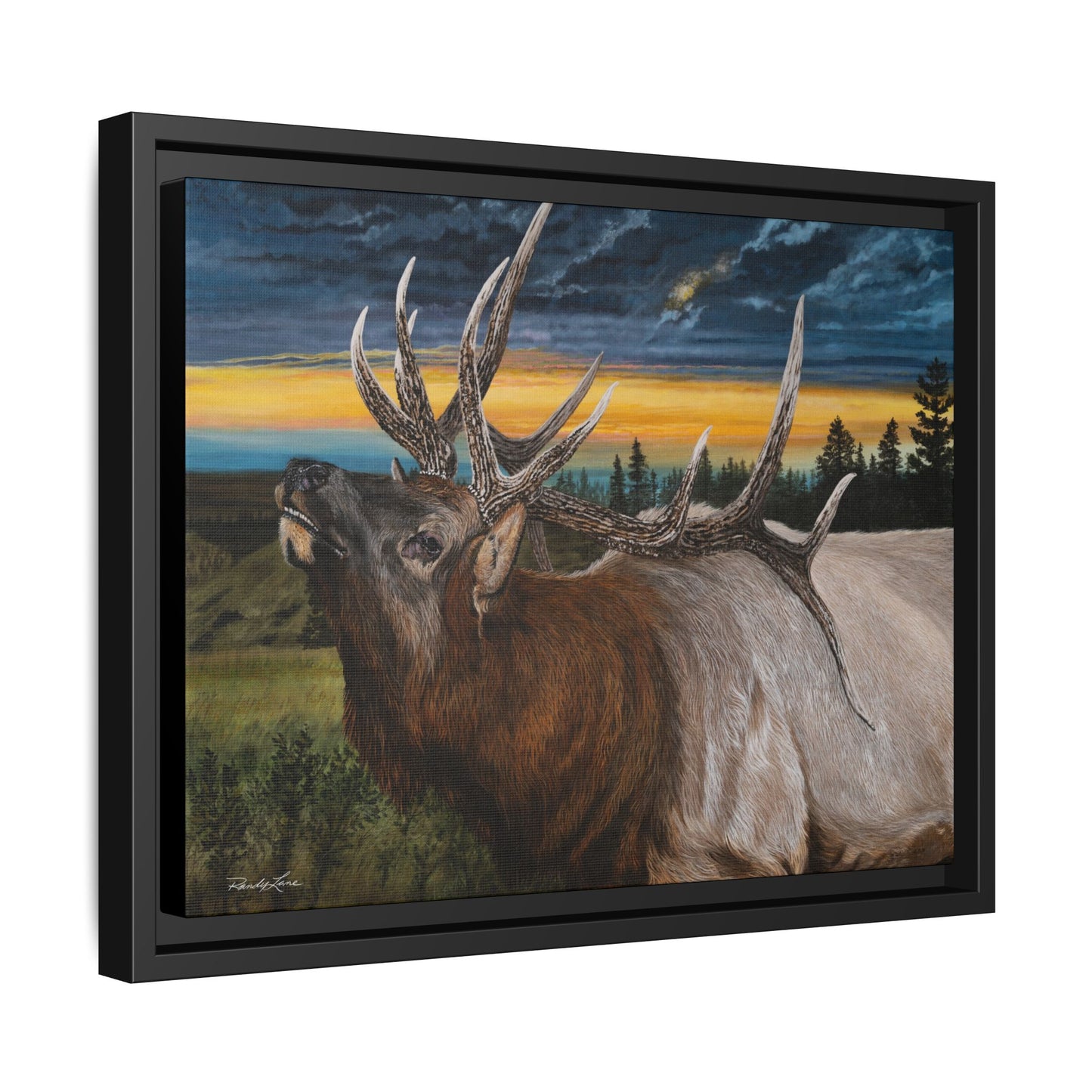 Sunset Serenade,  Elk Framed Matte Canvas Print