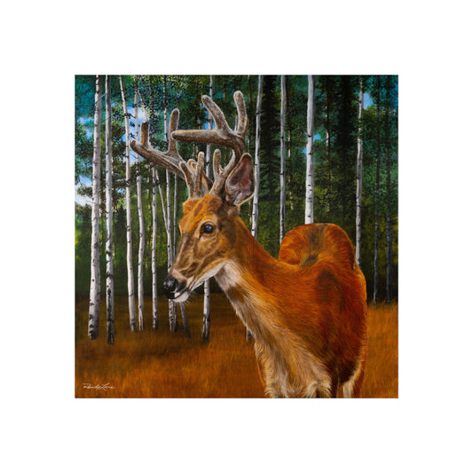Velvet Crush,  Deer Fine Art Print