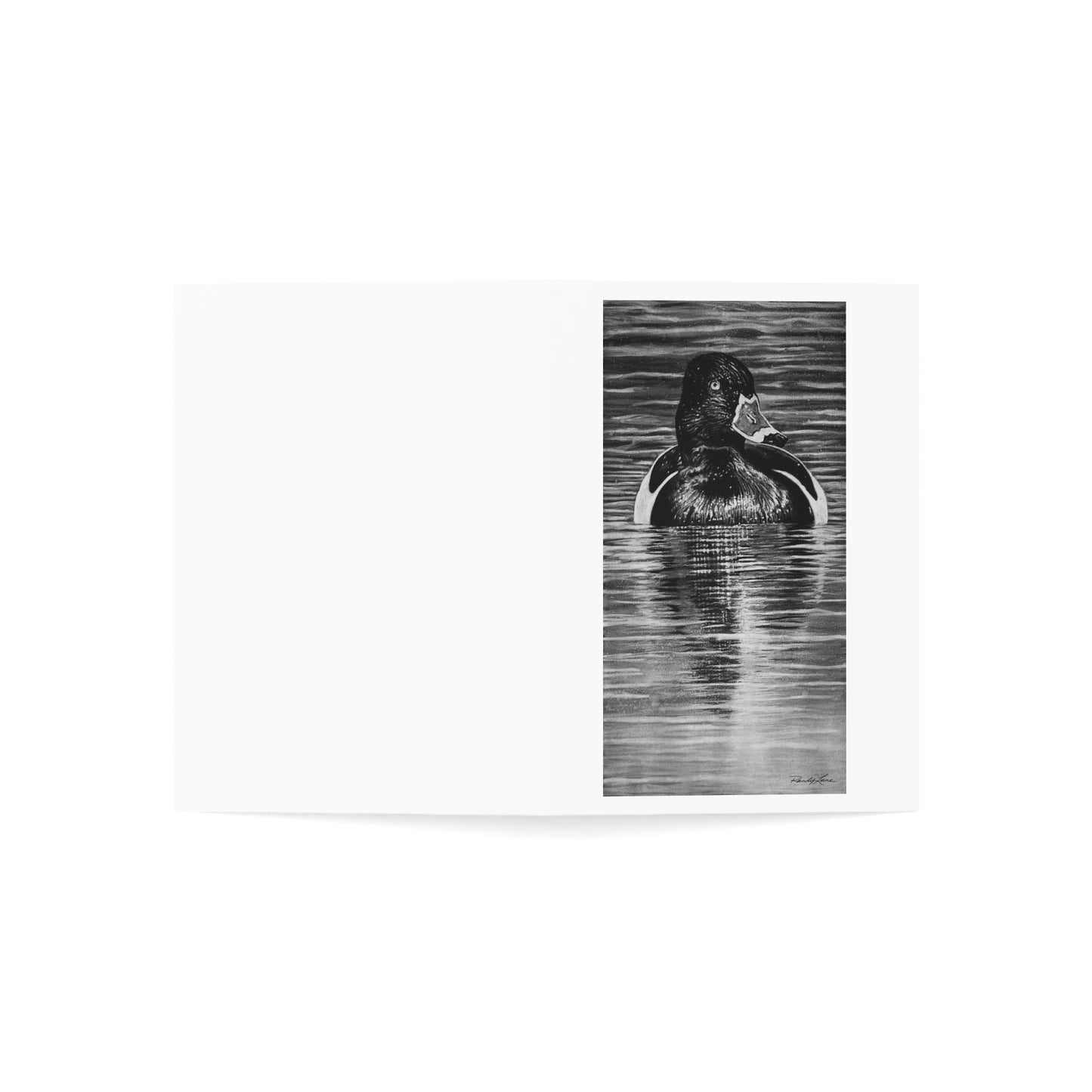 Reflection, Ring-necked Duck Greeting Cards — Black & White Waterfowl Art (Set of 1/10/30/50)