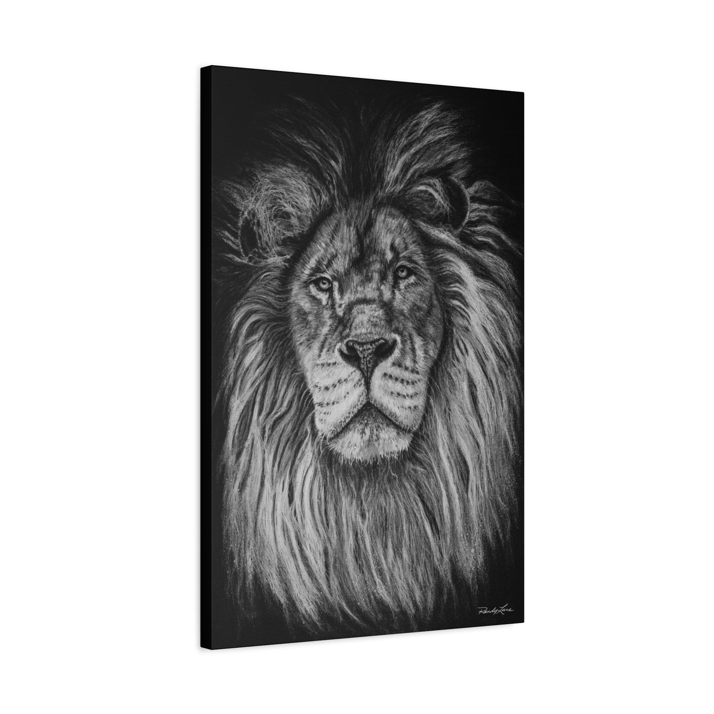 The Mane Event, Matte Canvas Lion Print, Stretched, 1.25"