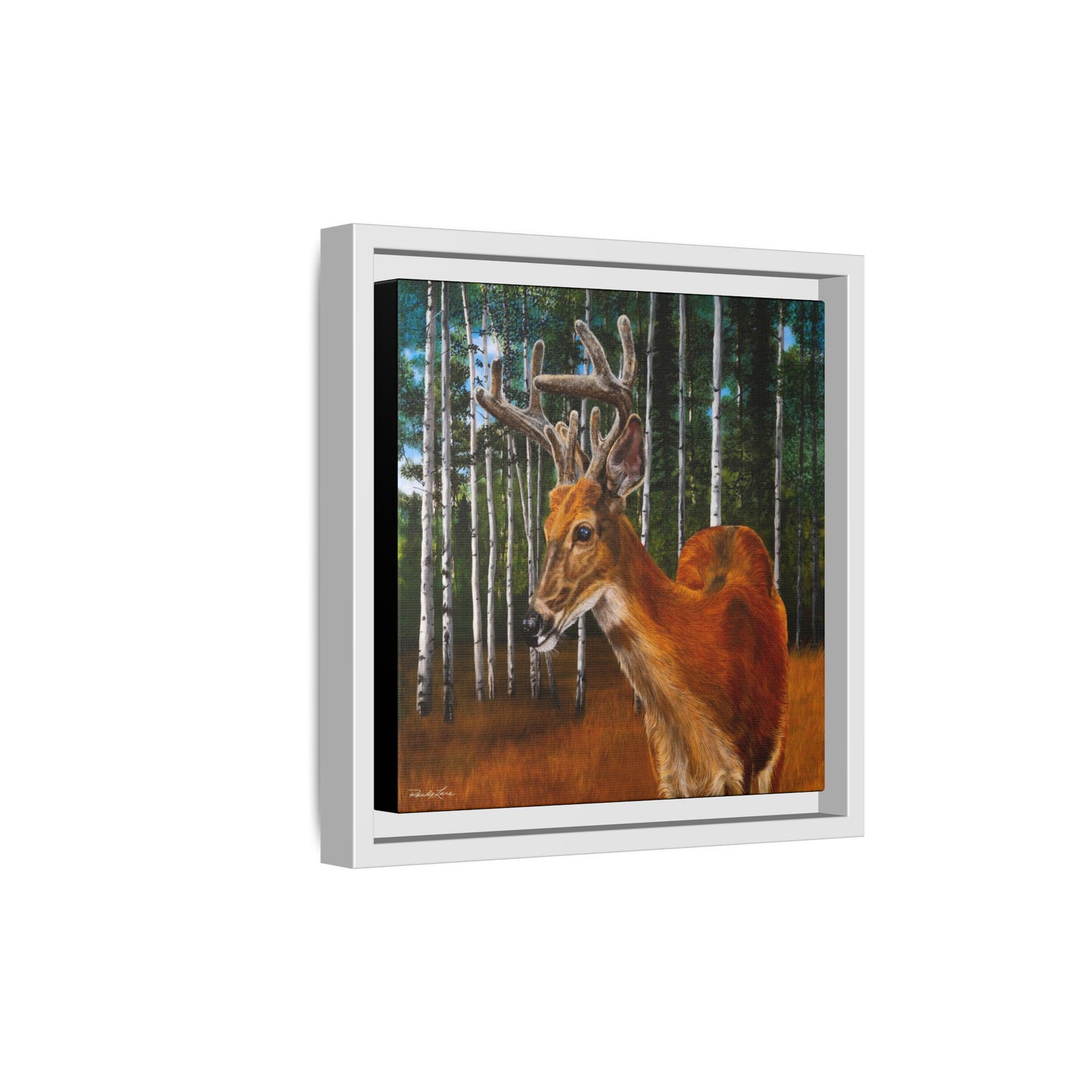 Velvet Crush, Framed Deer Canvas Art