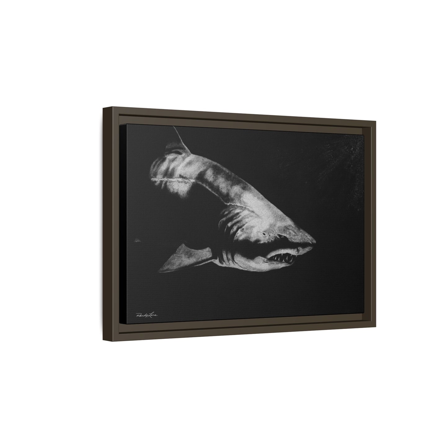 Below, Framed Shark Fine Art Print, Matte Canvas Wall Decor