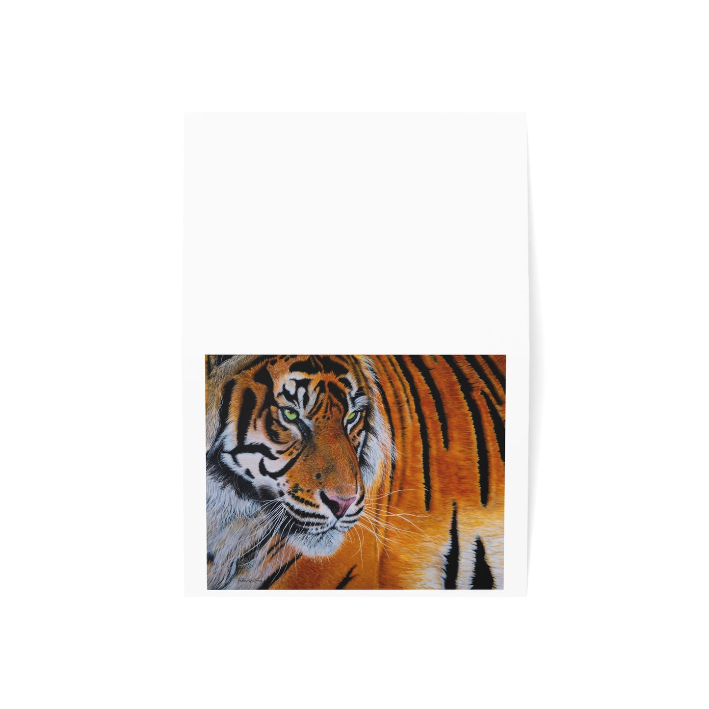 Tiger Stripe, Tiger Greeting Cards Set
