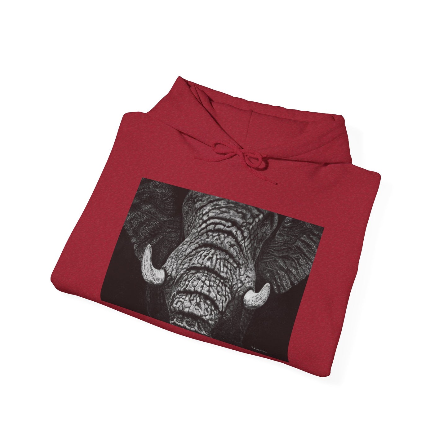 Ebony and Ivory, Elephant Hoodie, Cozy Unisex Sweatshirt