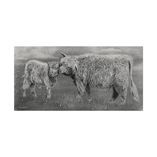 Highland Love, Textured Highland Cattle Fine Art Prints