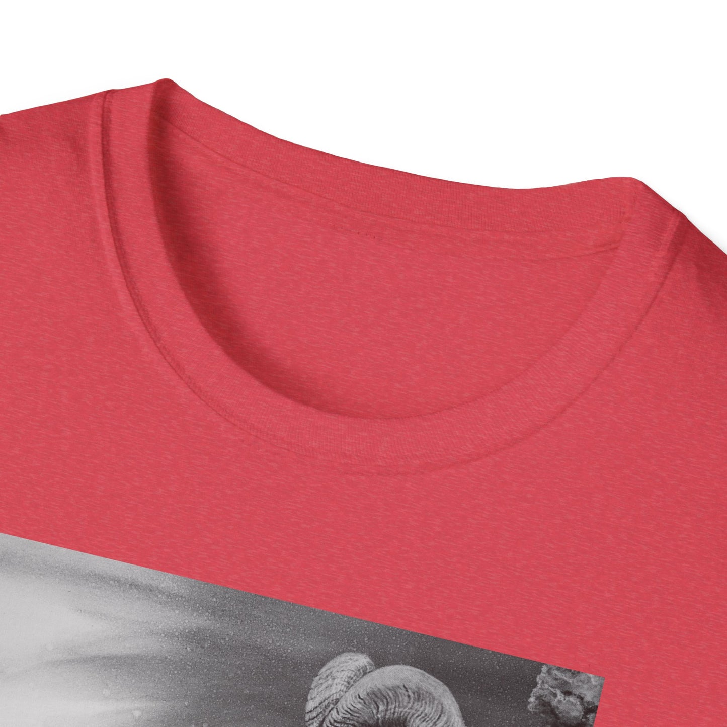Legendary, Bighorn Sheep Unisex Softstyle Tee