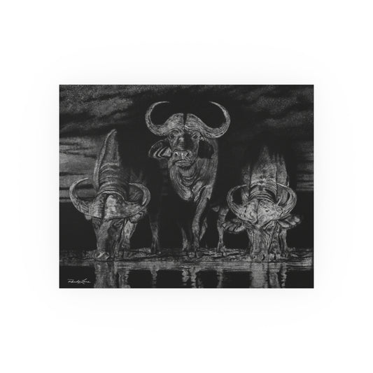 The Waterhole, Cape Buffalo Fine Art Print
