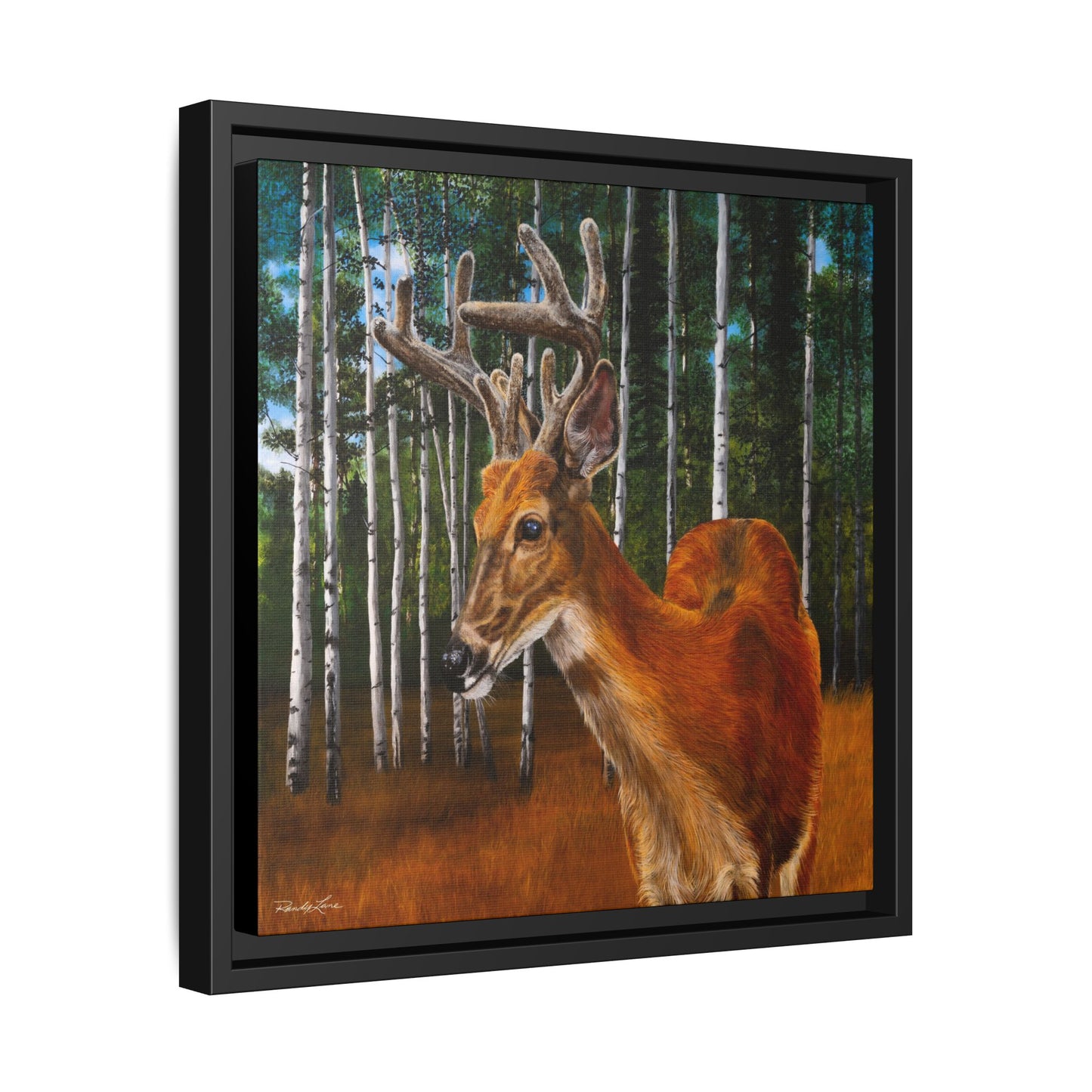 Velvet Crush, Framed Deer Canvas Art