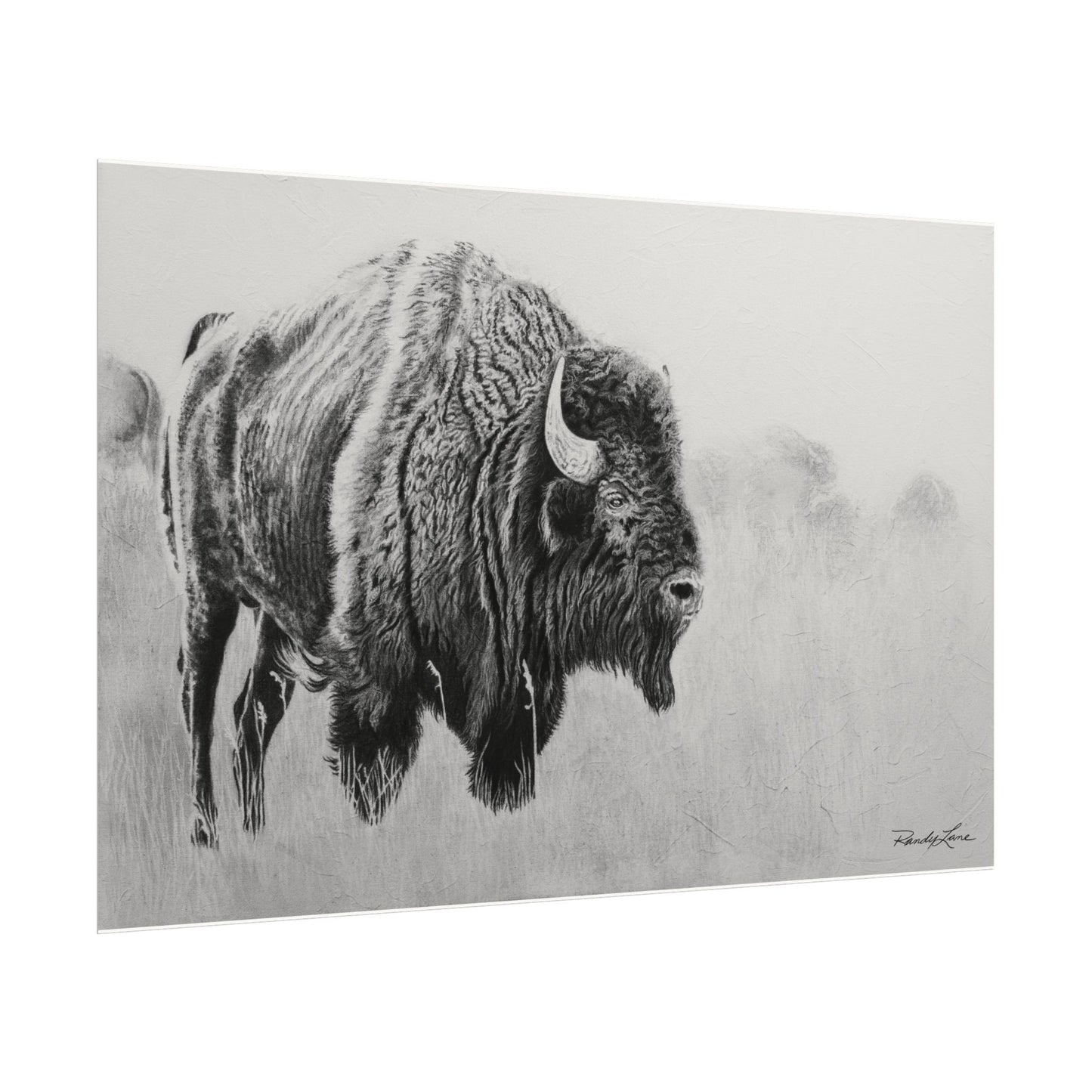 Prairie Bison, Bison Painting Matte Print – Textured Black & White Wildlife Art Print