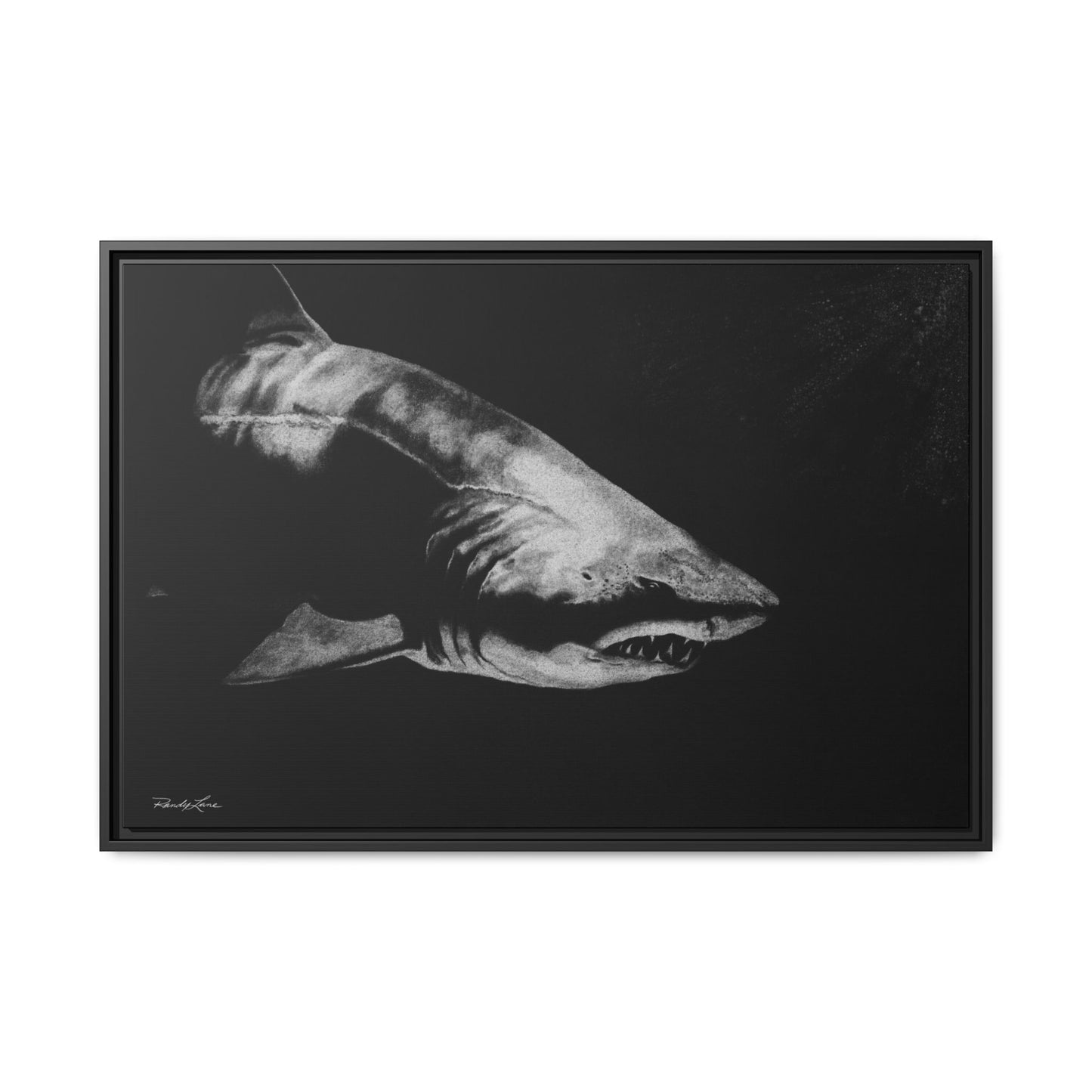Below, Framed Shark Fine Art Print, Matte Canvas Wall Decor
