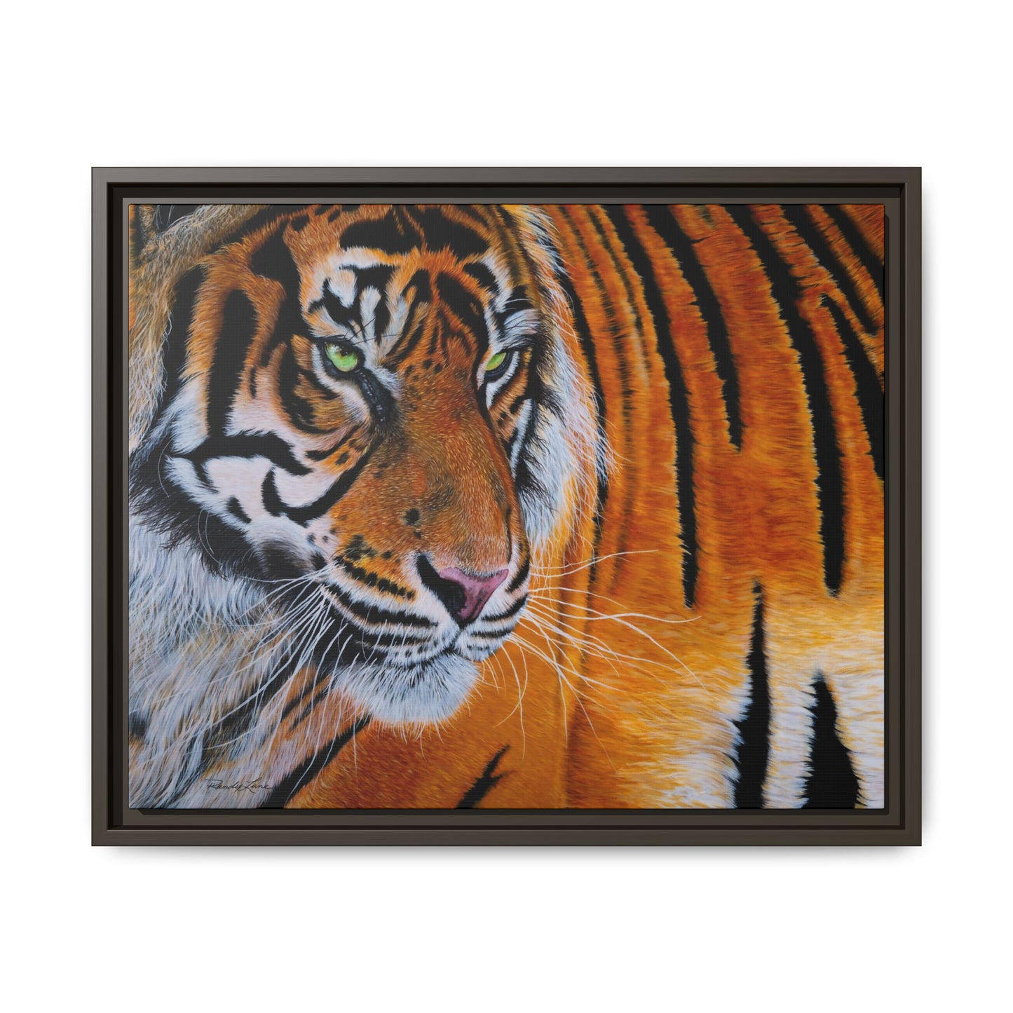 Tiger Stripe, Framed Tiger Canvas Print