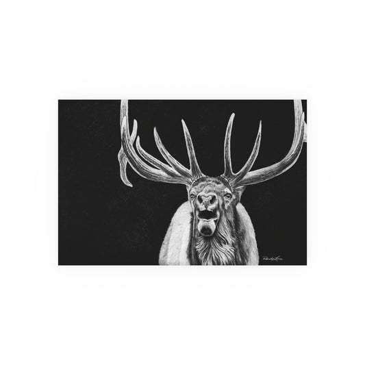 Heavy is the Crown, Bull Elk Fine Art Print (Satin or Archival Matte)