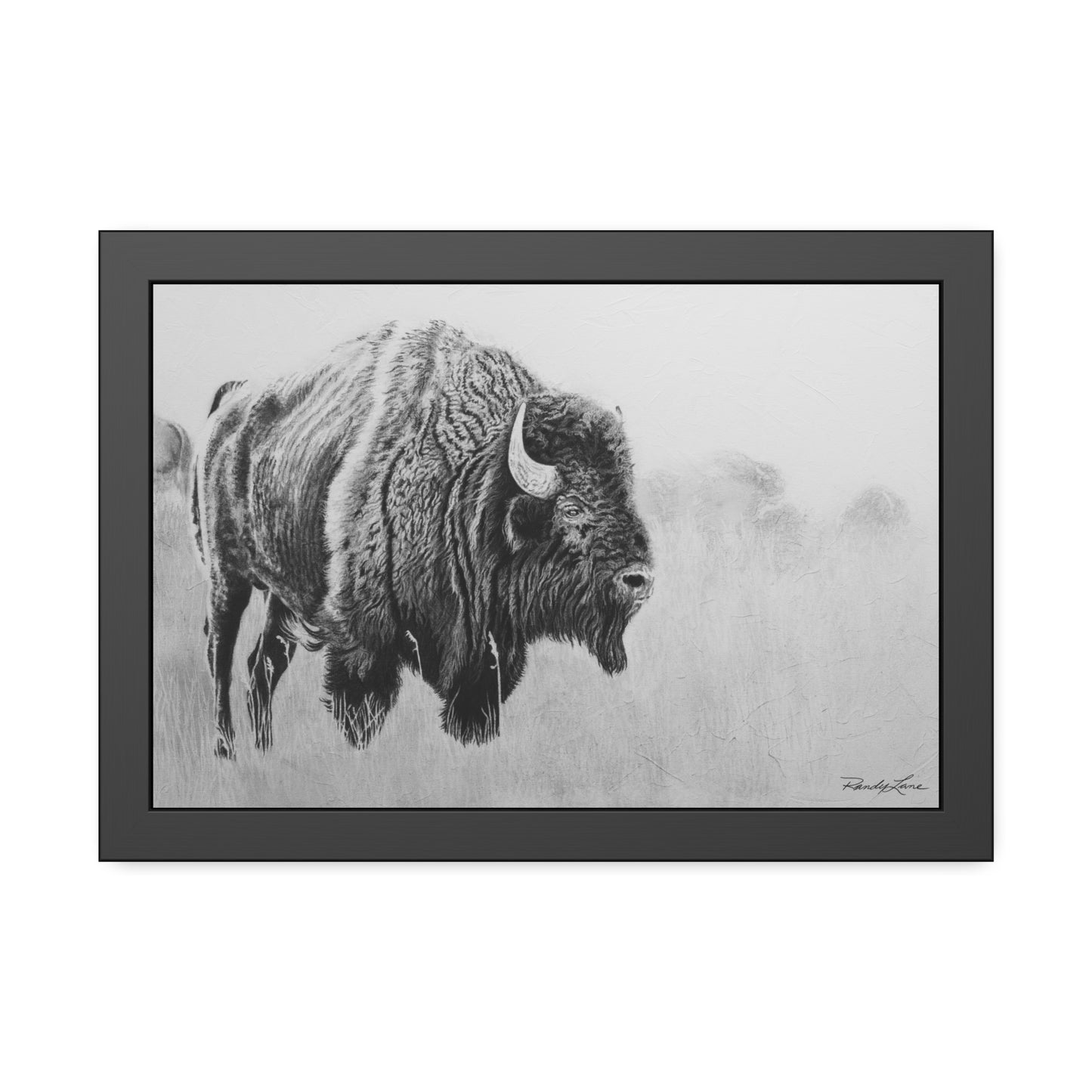 Prairie Bison, Bison Charcoal Art Framed Print