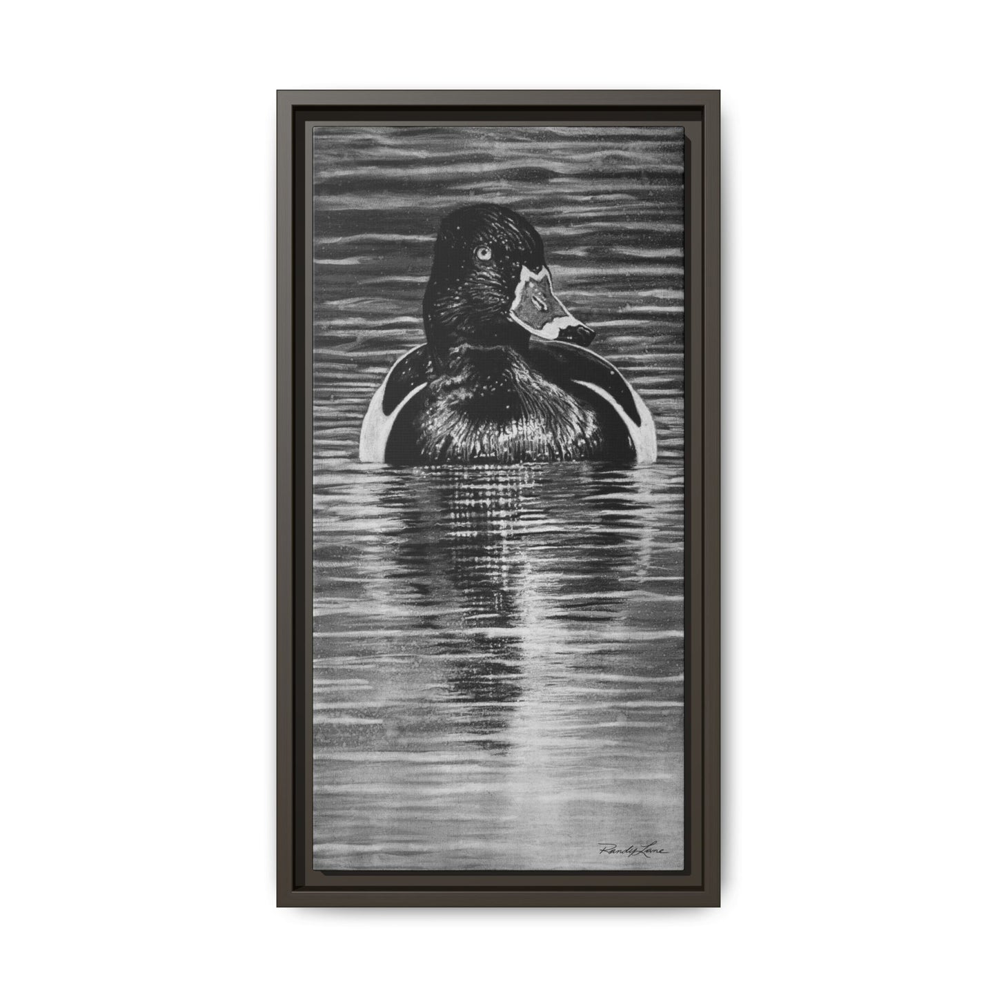 Reflection, Ring necked Duck Painting, Framed Stretched Matte Canvas