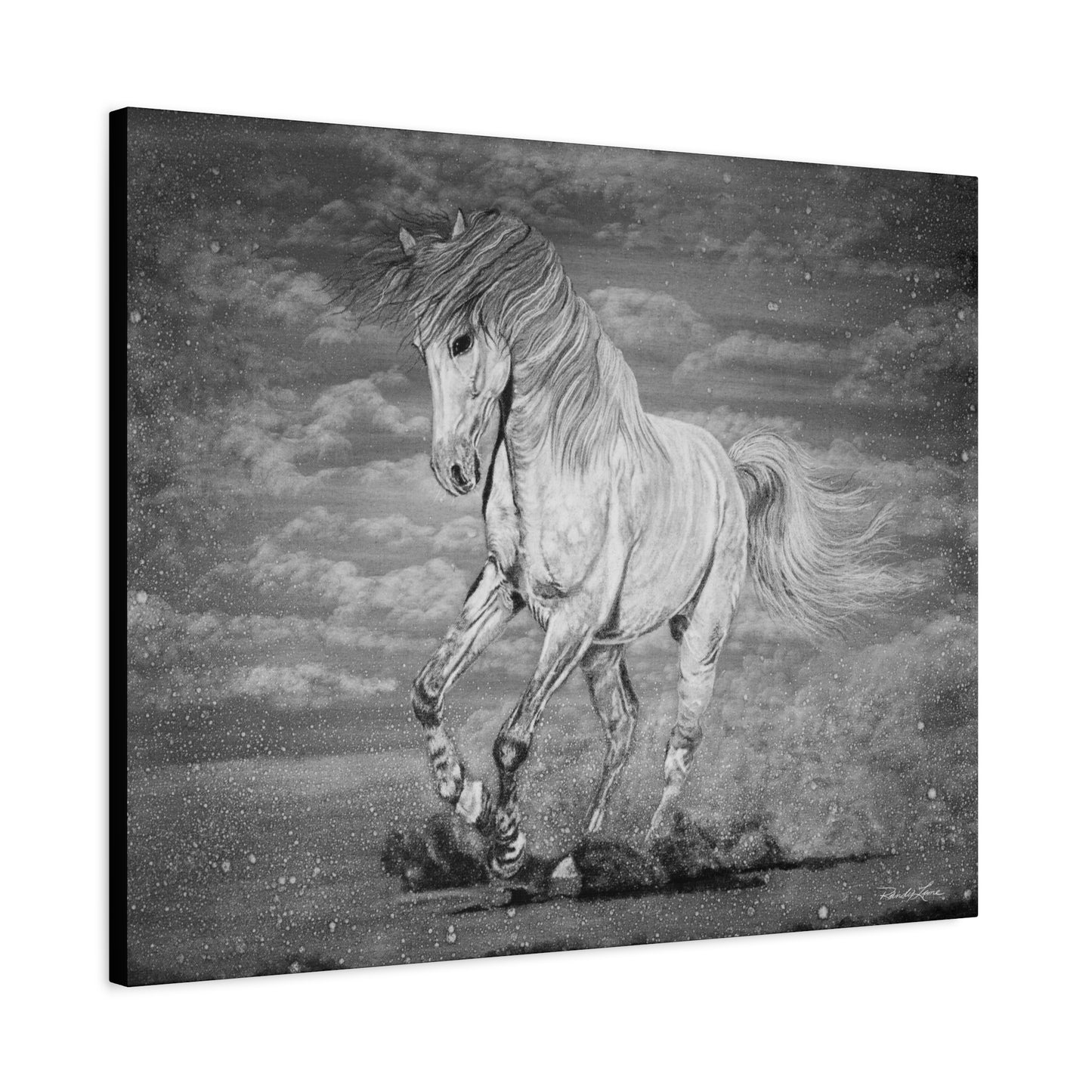 Equine Elegance. Prancing Horse Stretched Matte Canvas Print